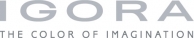 IGORA_Logo.jpg